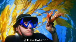 Under a kelp patty 1/4 mile off shore....self potrait of ... by Dale Kobetich 